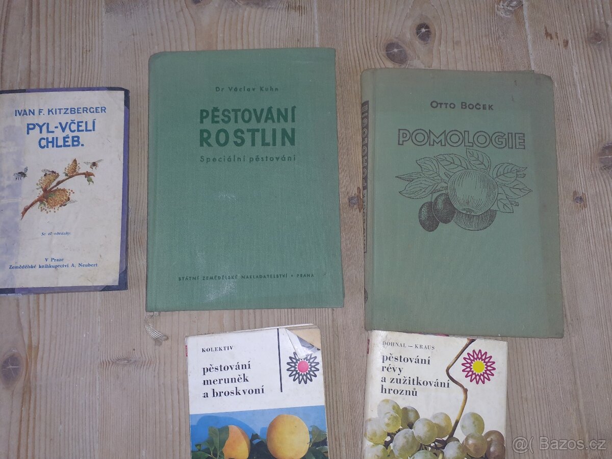 Včelařství zahrada hrozny - 5