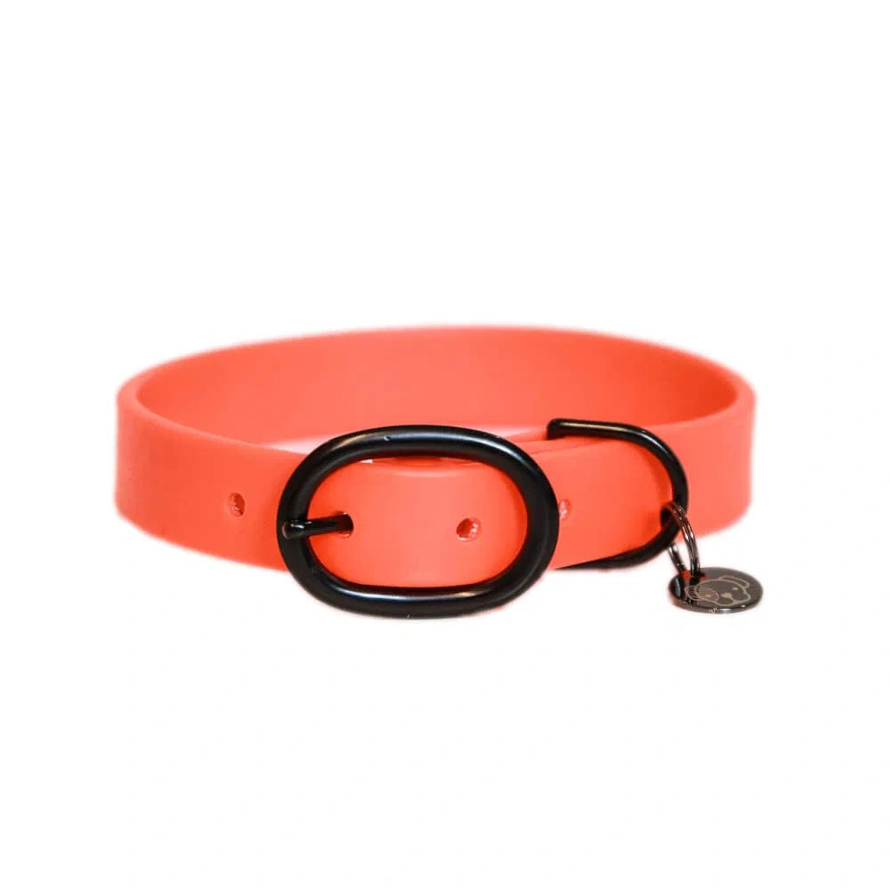 Kentucky - Gumový obojek XL + stopovačka 5 m - neon orange - 5