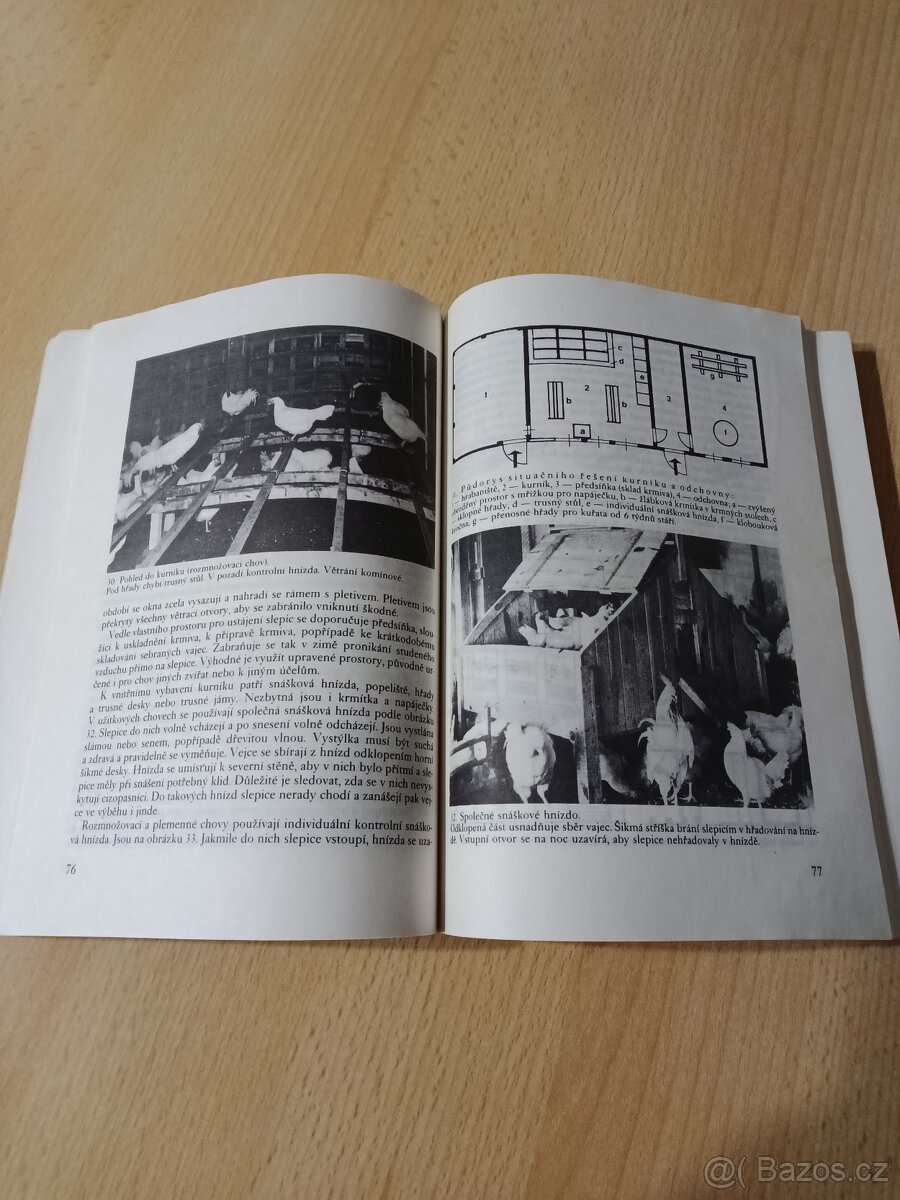 Pes a jeho výcvik, Domácí chov zvířat - 5