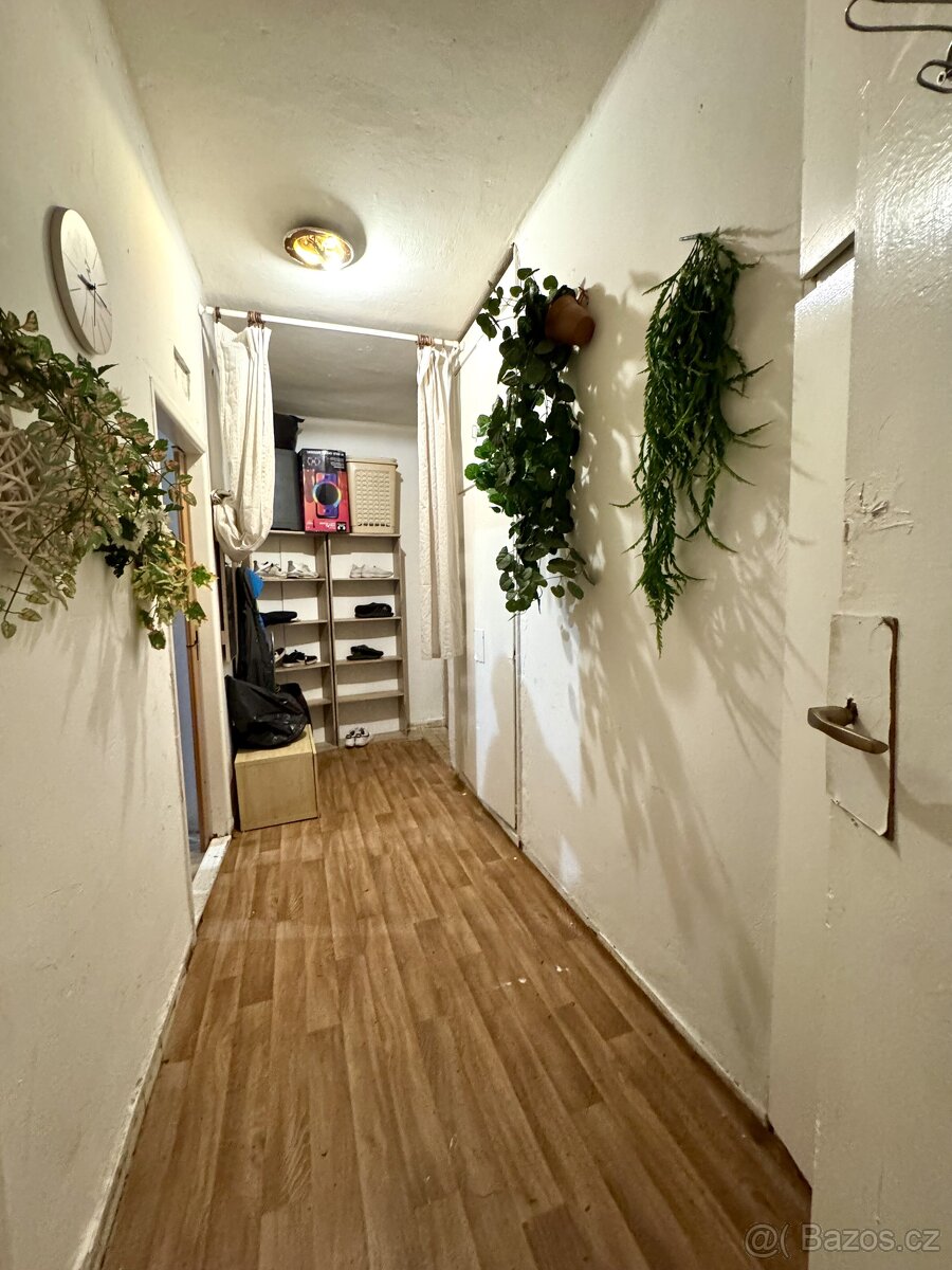 Prodej, byt 1+1, 41 m, tř. Budovatelů, Most, Česko - 5