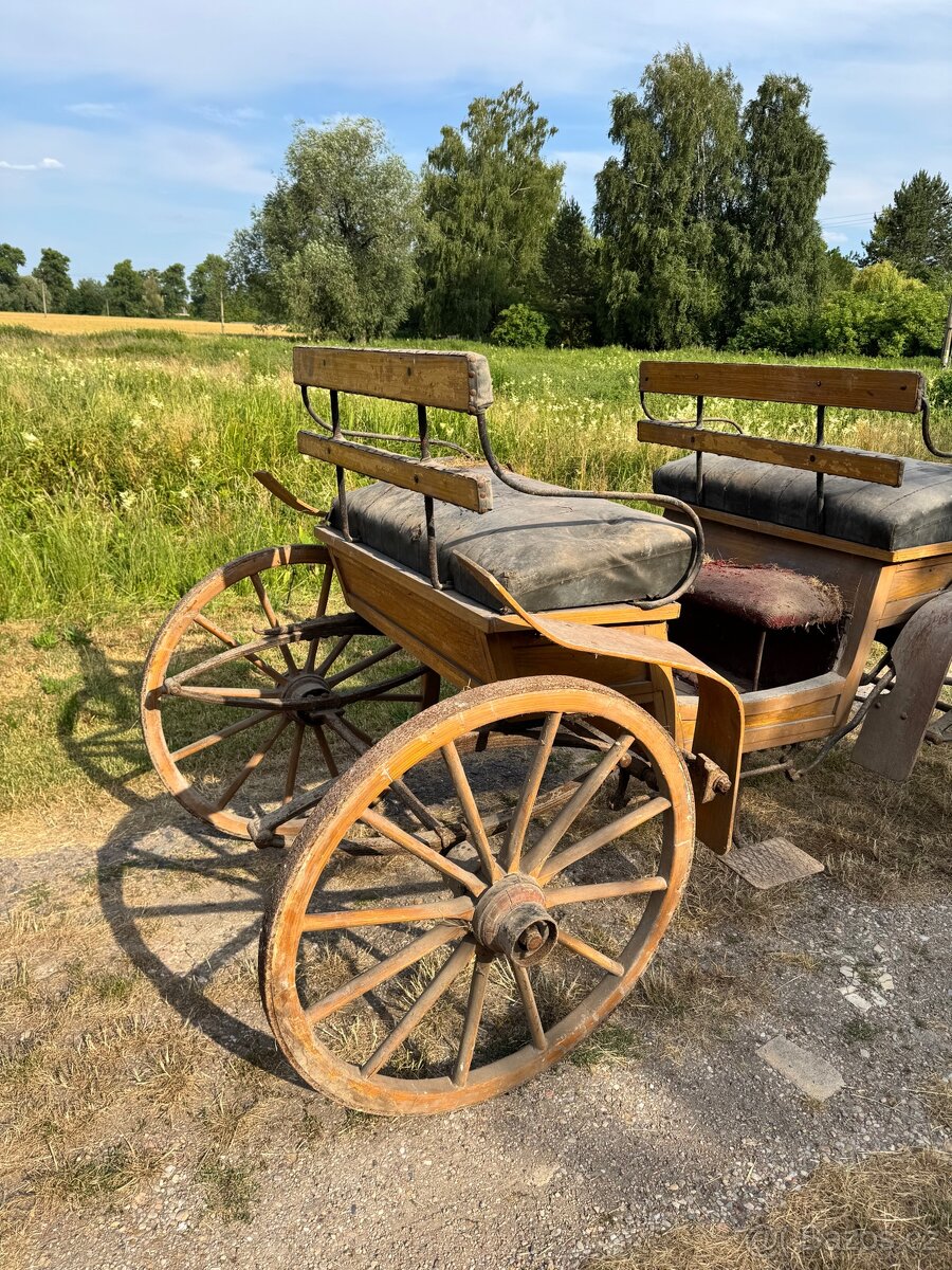 Koňská bryčka - 5