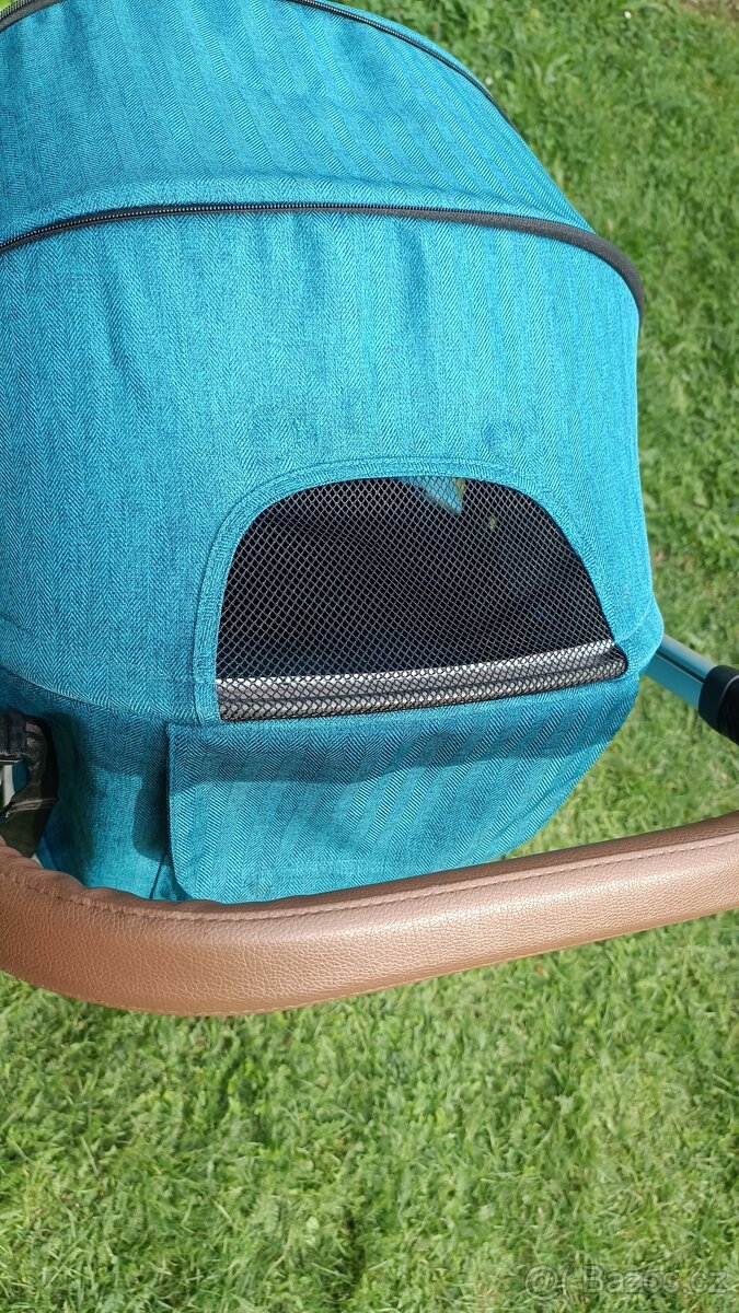 Oyster zero Peacock - 5