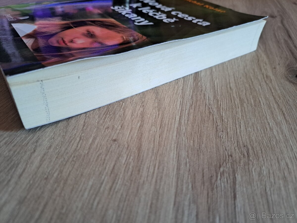 Nová cesta k léčbě šikany - 5