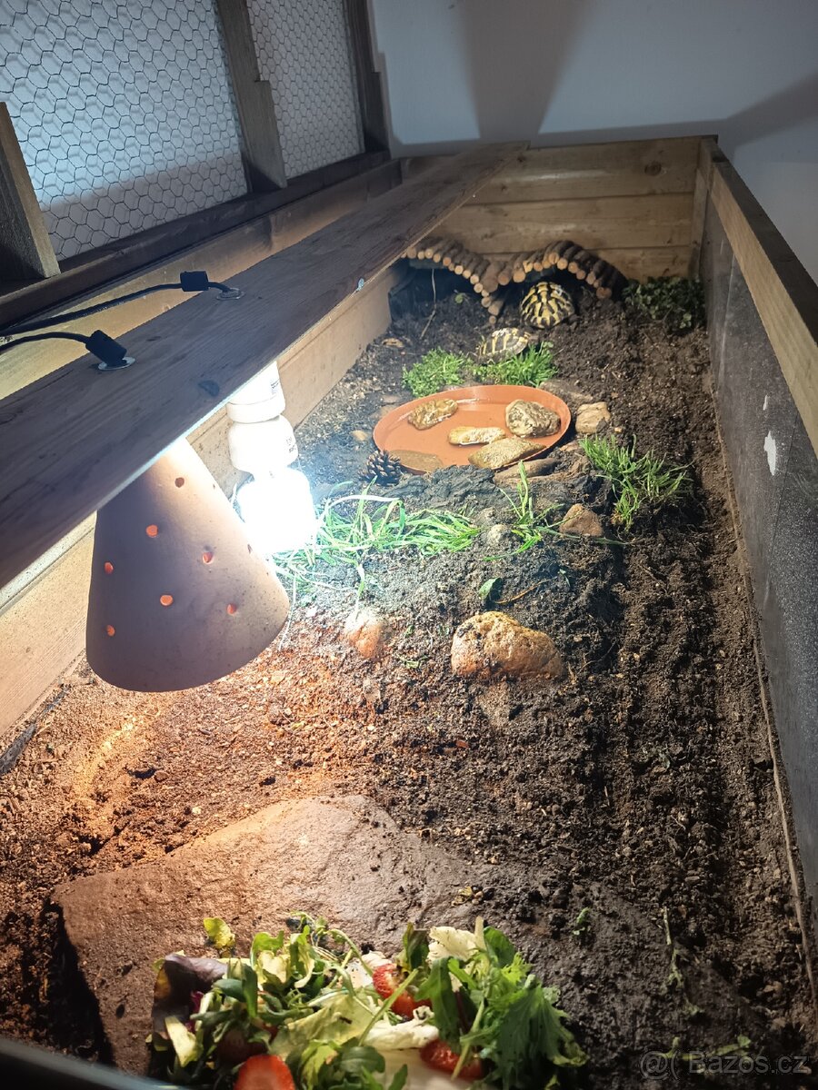 Želví stůl ~ terárium - 5