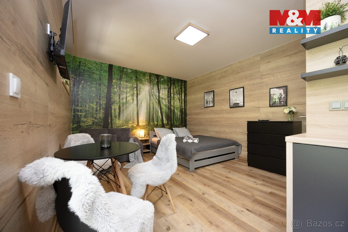 Prodej apartmánu 1+kk, Vrbno pod Pradědem, ul. Žižkova - 5