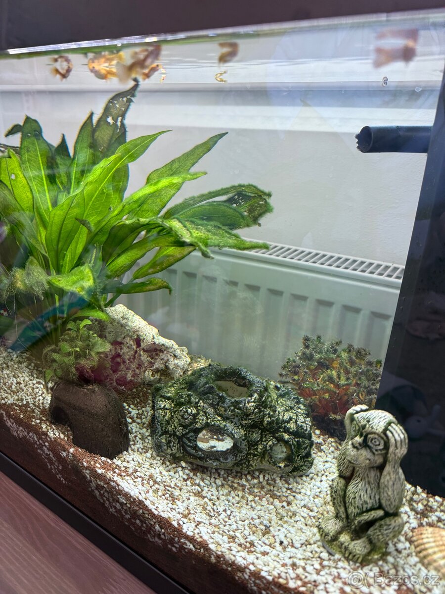 Akvárium-70l-vybavené-ještě v záruce - 5