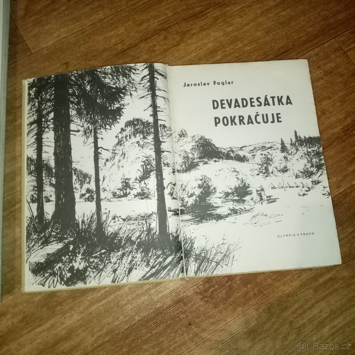 Prodám různě staré knihy - příroda, místopis, dětské aj. - 5