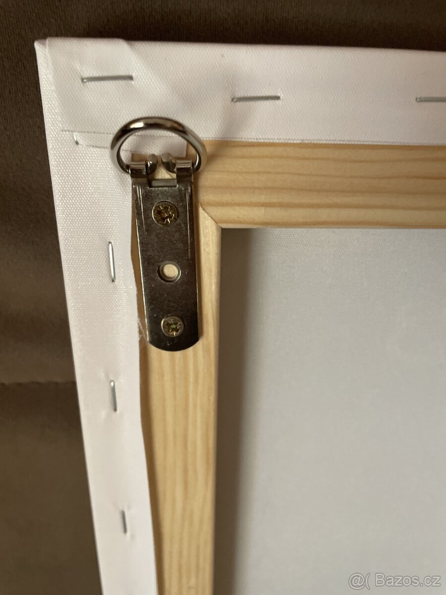 Obraz na plátně 100 $ - 5