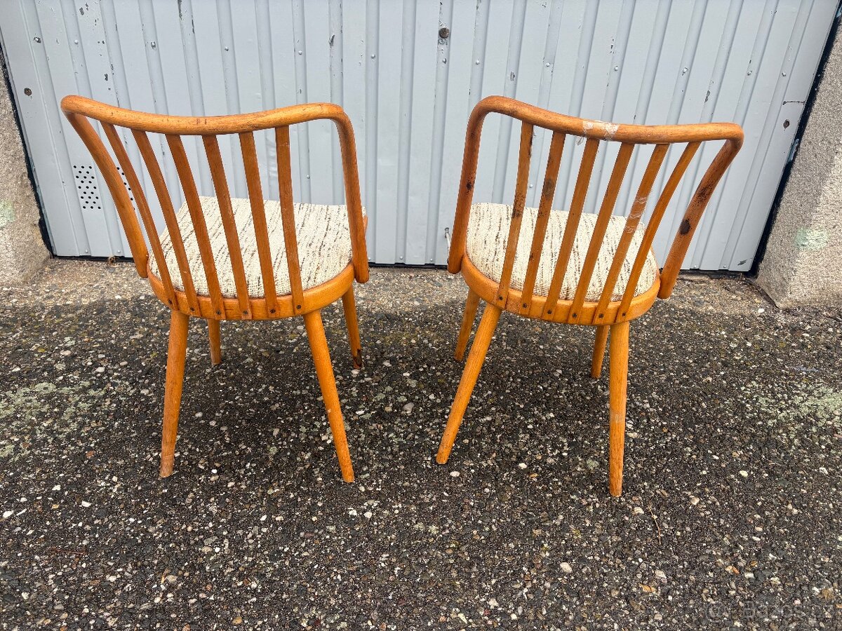 Židle Antonín Šuman - 5