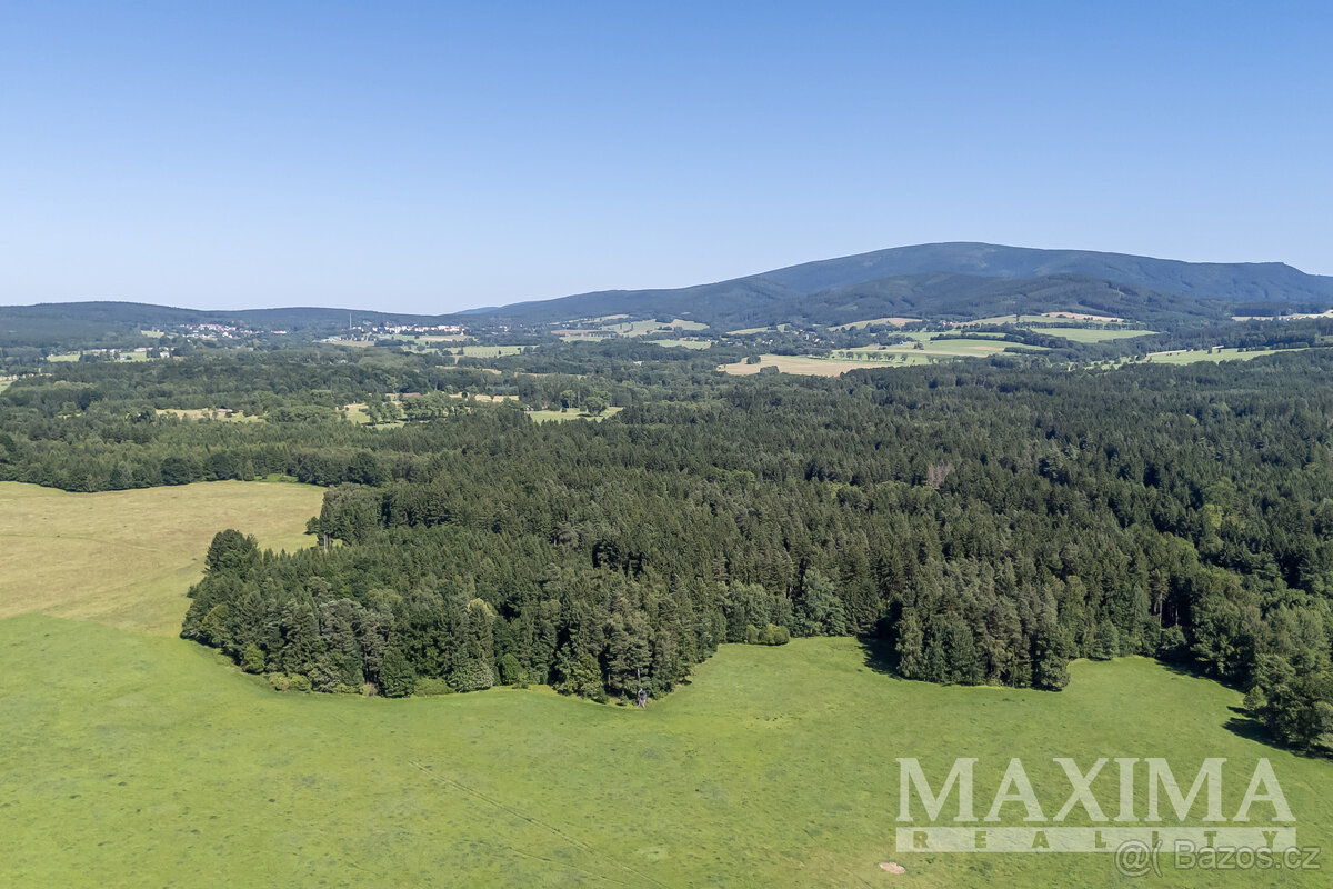 Pozemek o ploše 6397 m2 - Krásný Les, - 5