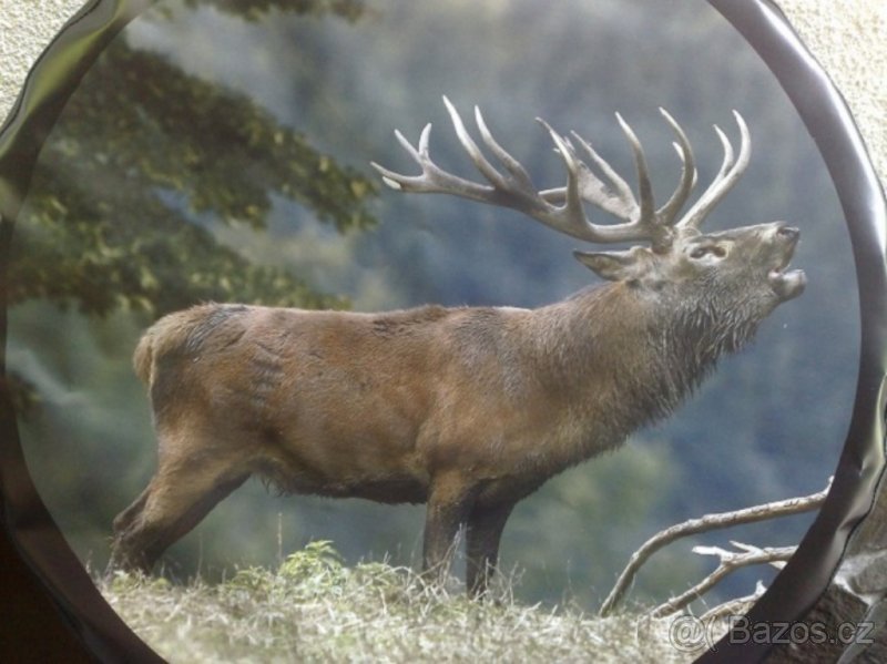 nissan - kryt na rezervu kolesa - 5