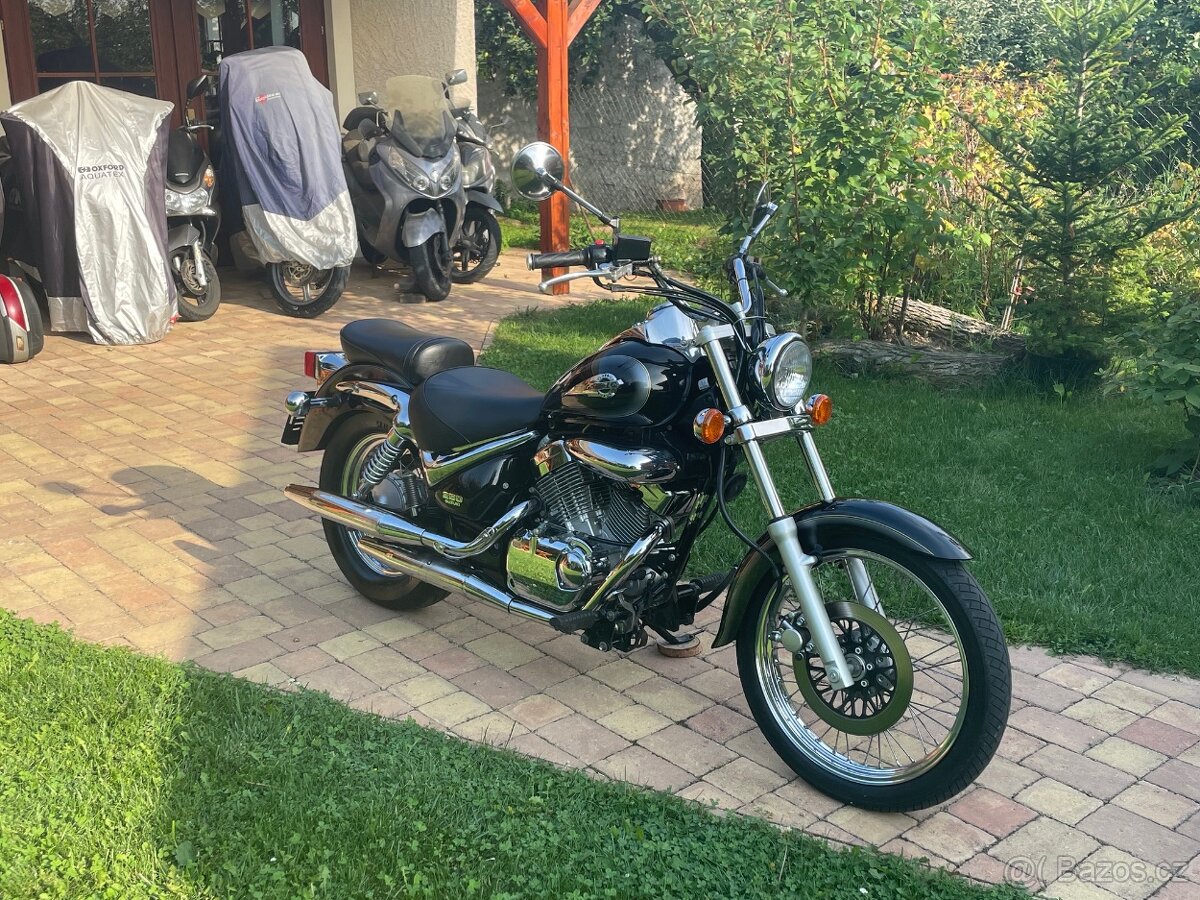 Suzuki VL250 Intruder - 5