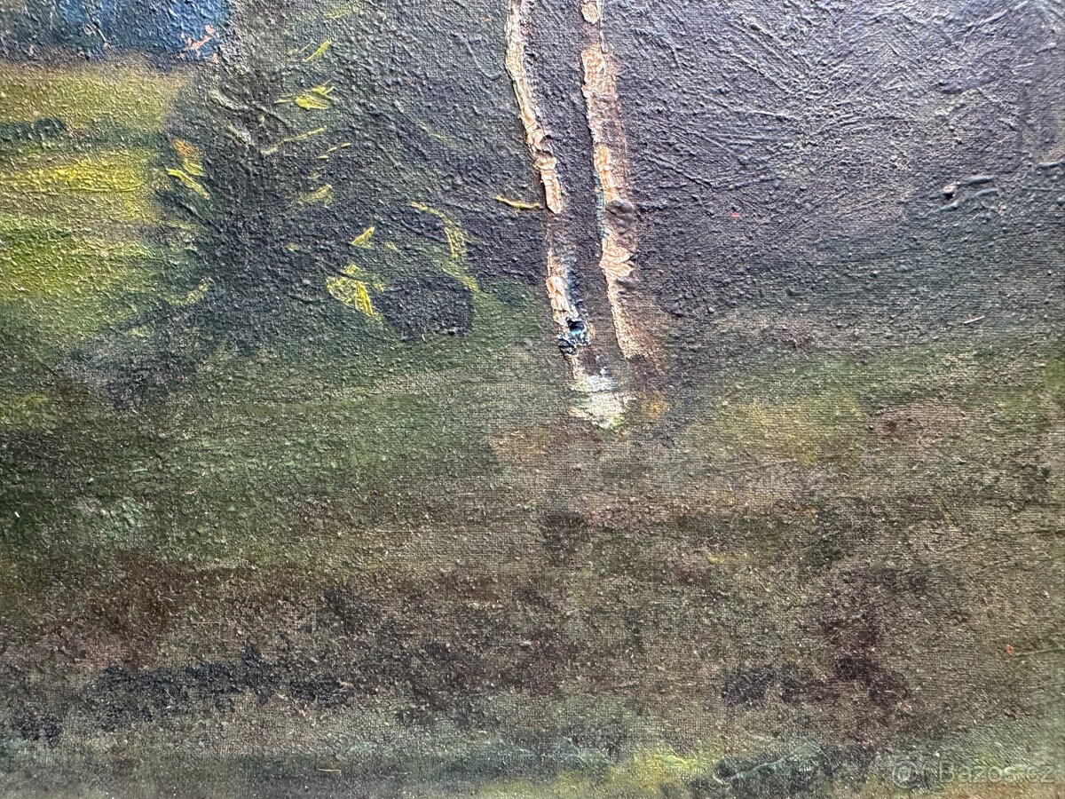 Obraz Krajina s břízami - 5