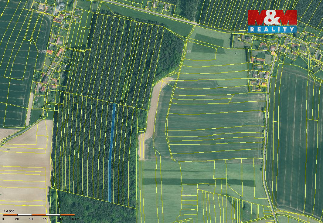 Prodej lesa, 6005 m², Dražíč - 5