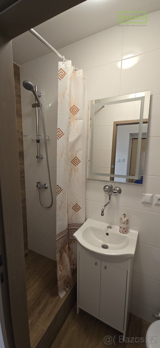 Zděný byt se sklepem a podílem na pozemku - Jírovcova ulice - 5