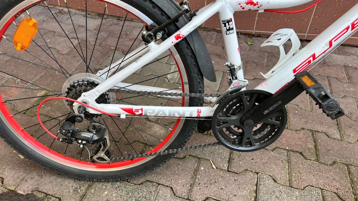 Dětské horské kolo Superior paint xc24 - 5
