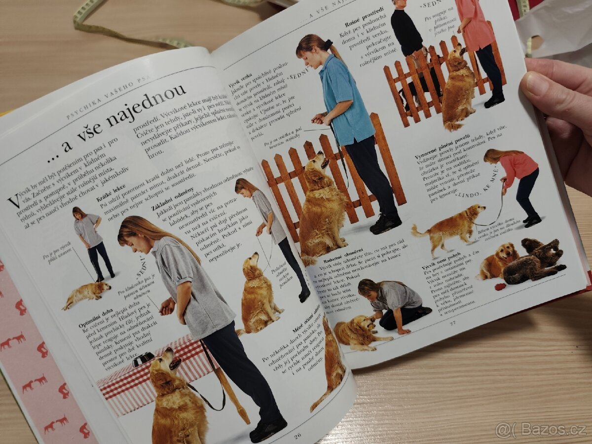 Vše o výcviku psa - 5