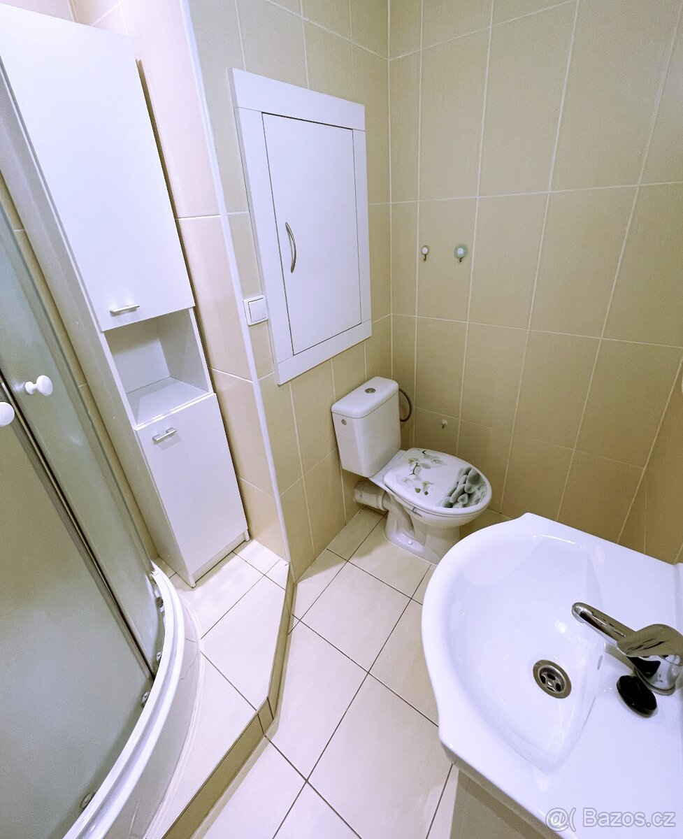 bez PROVIZE - dlouhodobý pronájem bytu 1+1, OV, Bílina - 5