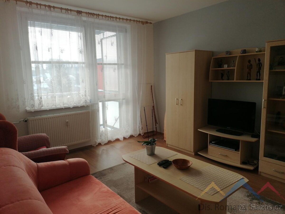 Pronájem bytu 2+1, Břidličná - 5