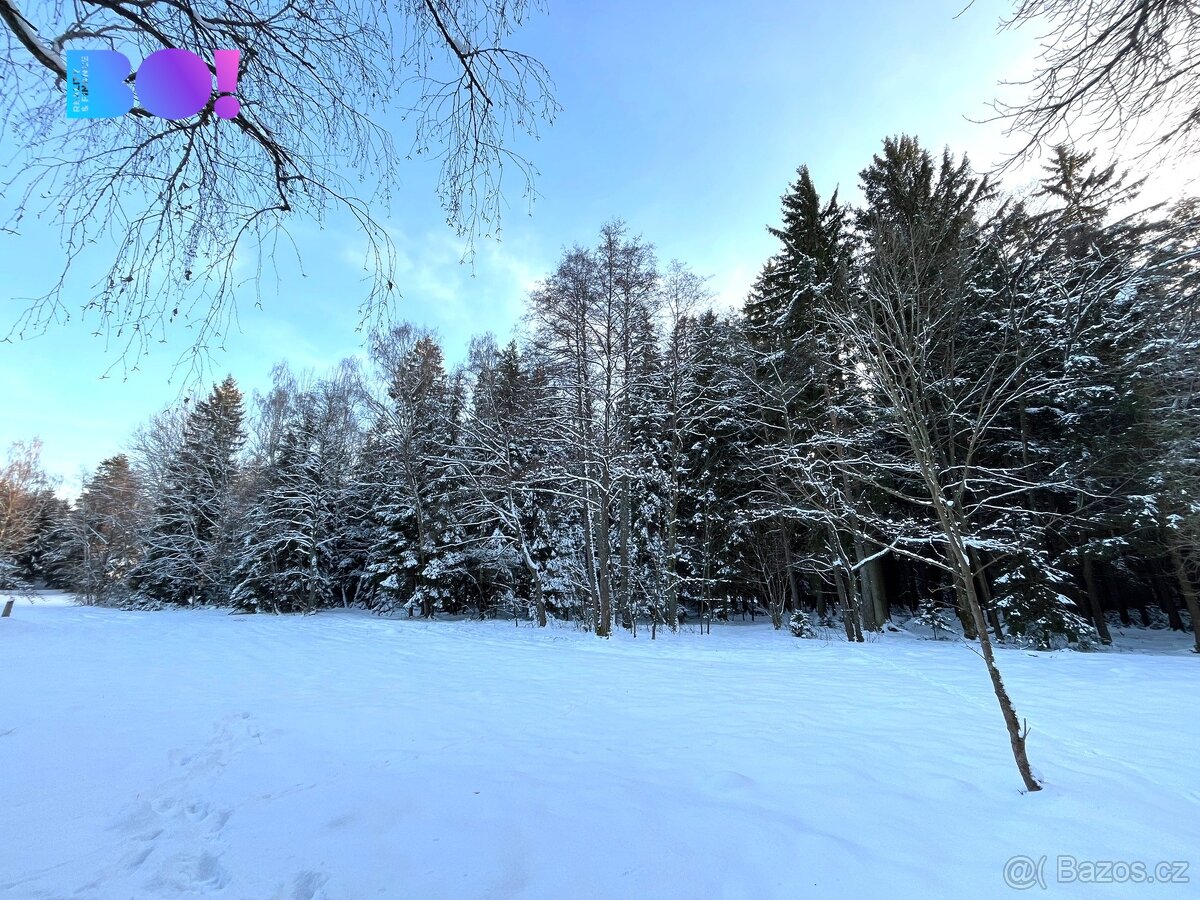 Prodej lesa, 43 856 m², Stržanov - 5