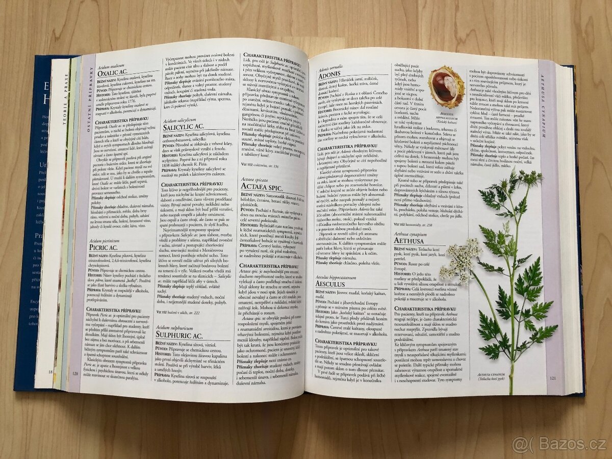 Kniha: Encyklopedie homeopatie - Lockie Andrew - 5