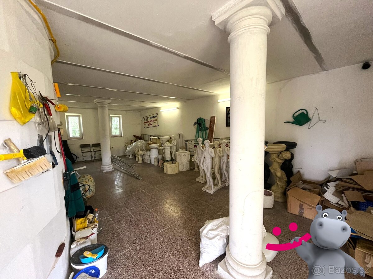 Prodej obchodního prostoru 200 m², pozemek 3 082 m2, Mohelni - 5