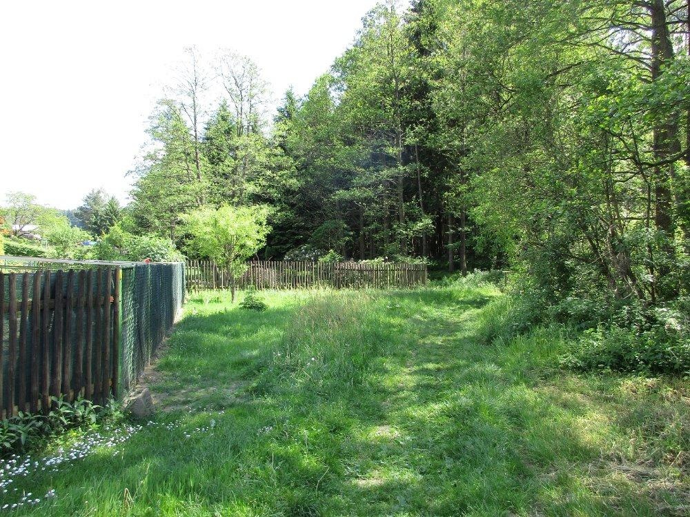 Prodej louky 3266 m² - 5