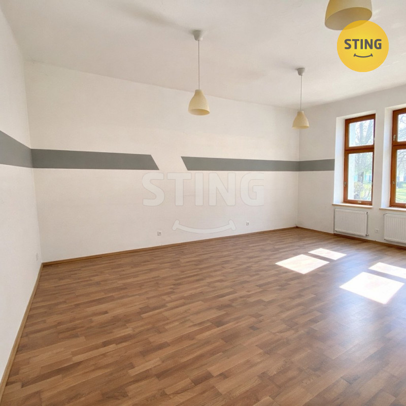 Pronájem komerčních prostor, 135028 - 5