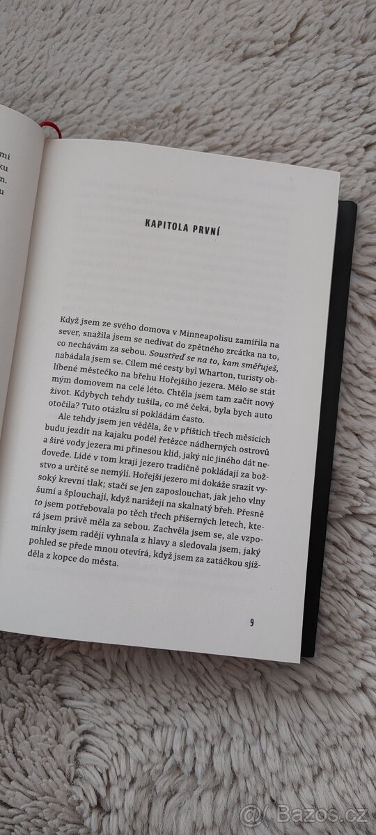 Příznaky Brynn Wilderové - 5