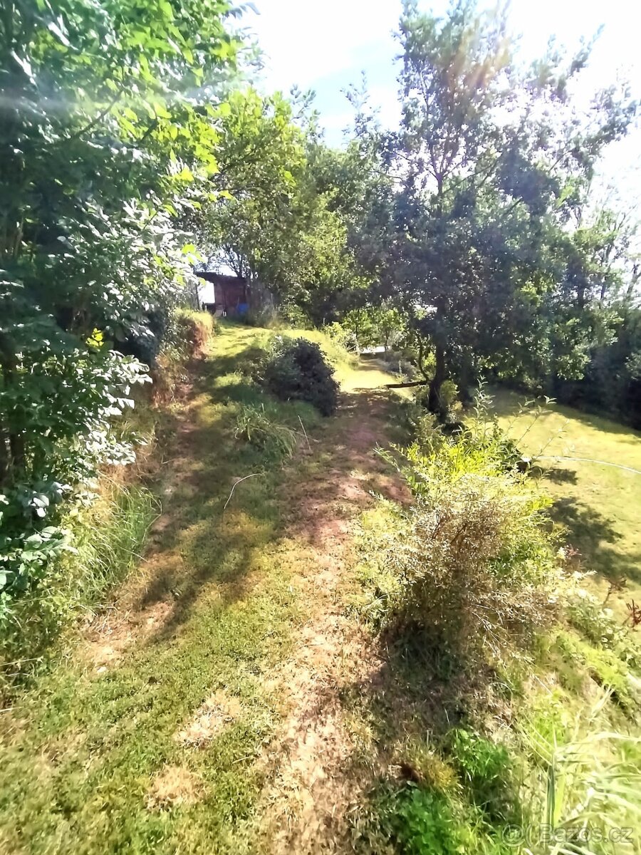 Zahrada st.pozemek - 5