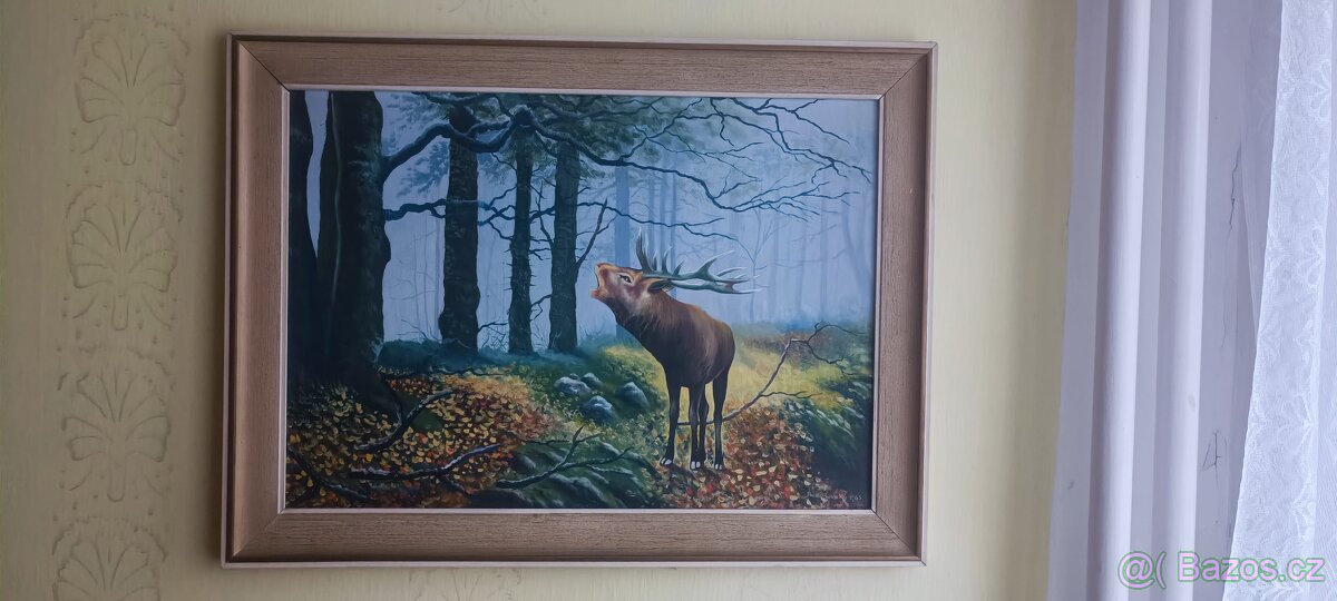 Různé obrazky - 5