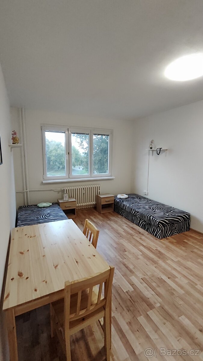 (724) Pronájem, byt 2+1, 53 m, Čs. armády 135, Habartov - 5