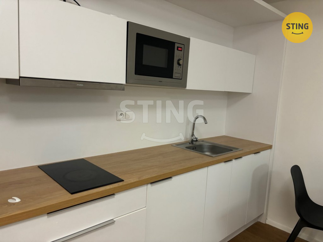 Pronájem bytu 1+kk 30m2, 133477 - 5