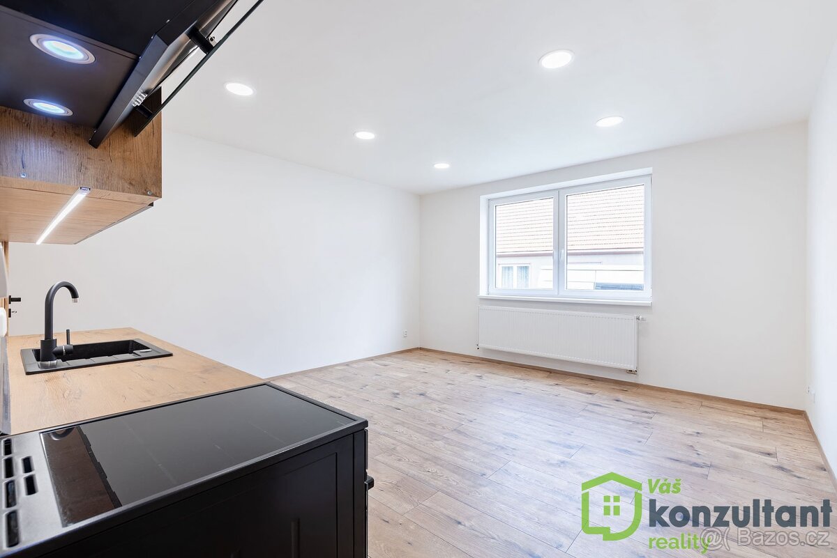 Prodej rodinného domu se dvěma samostatnými byty 214 m² Brno - 5