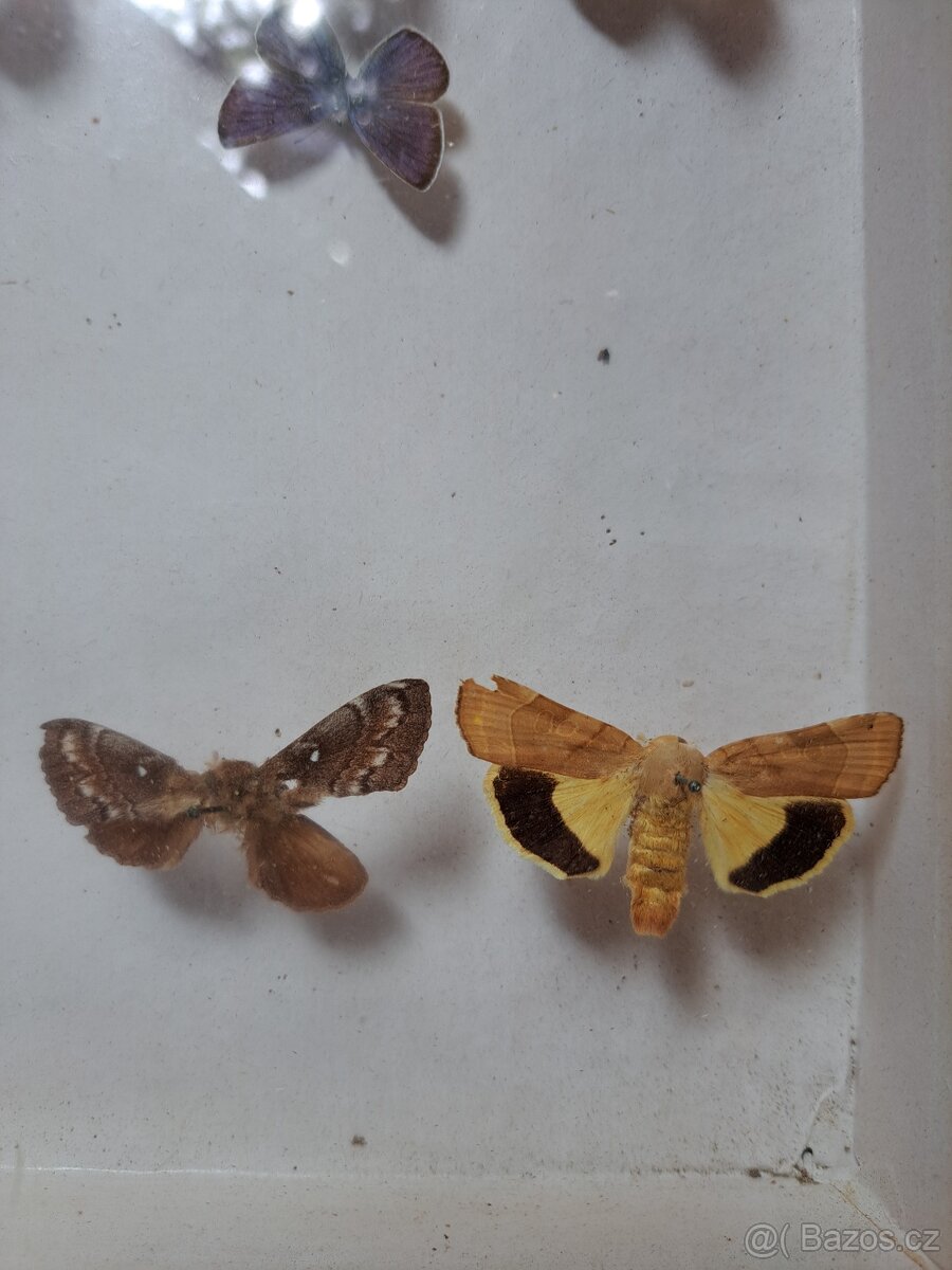 Zbierka M O T Ý Ľ O V. - 5