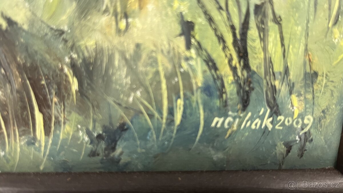 Dva obrazy krajin: Milan Čihák, české krajina/ Šumava. - 5