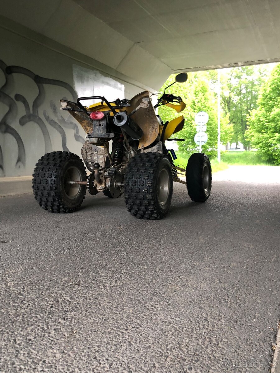 Bashan 250