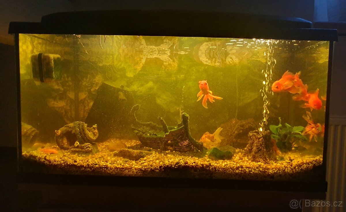 Akvarijni set vc. prisl., rybicek a skrinky pod akvarium - 5