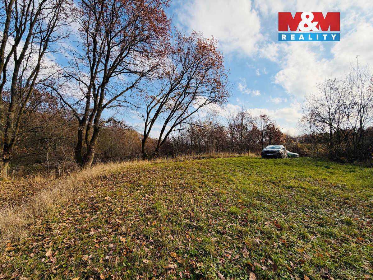 Prodej pole, 5000 m², Šumperk - 5