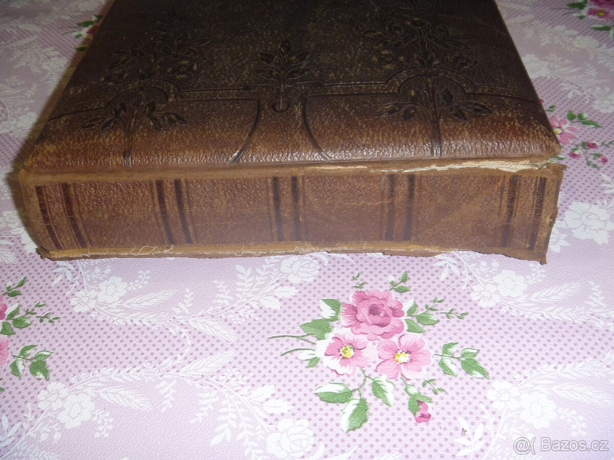 Album s Kabinetky, 15 listů asi 50 fotek , Antik. - 5