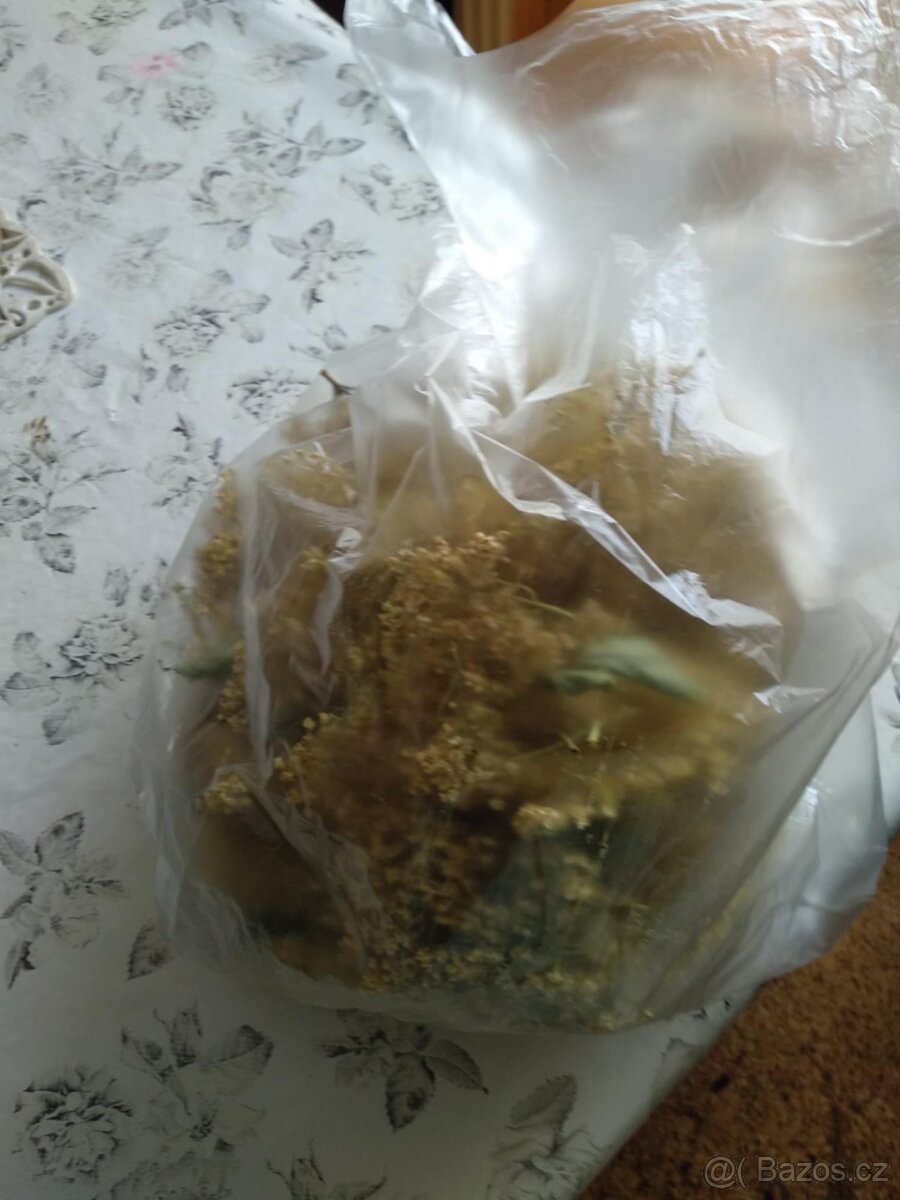 Meduňka lékařská a jiné bylinky prodám........ - 5