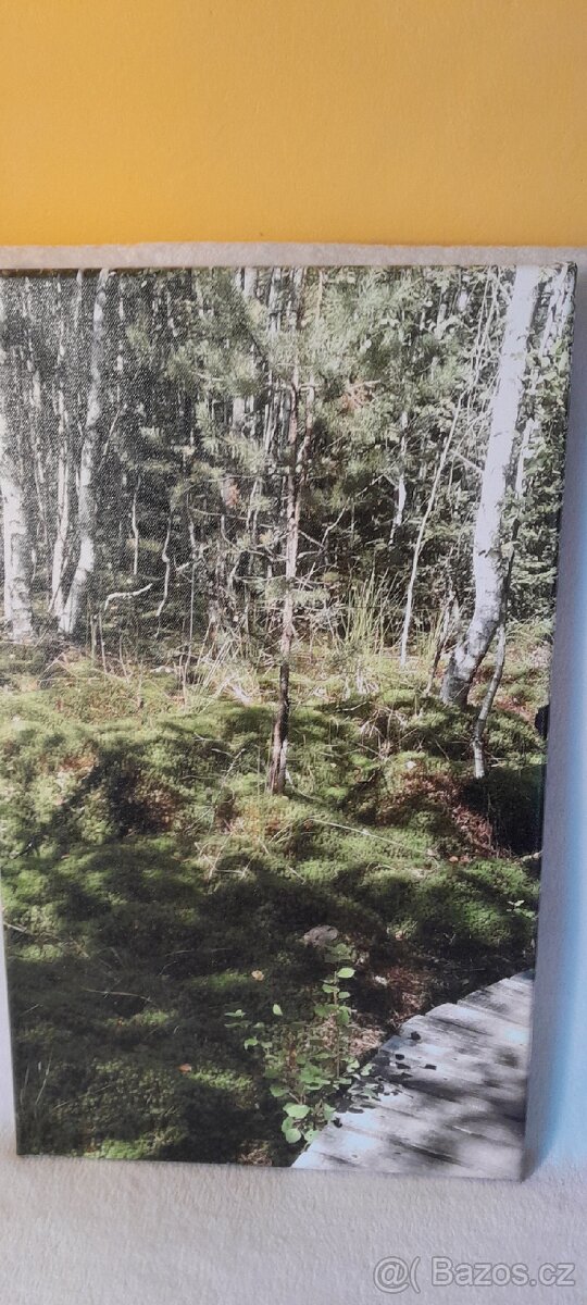 3 OBRAZY s místy známé ŠUMAVSKÉ KRAJINY - 5