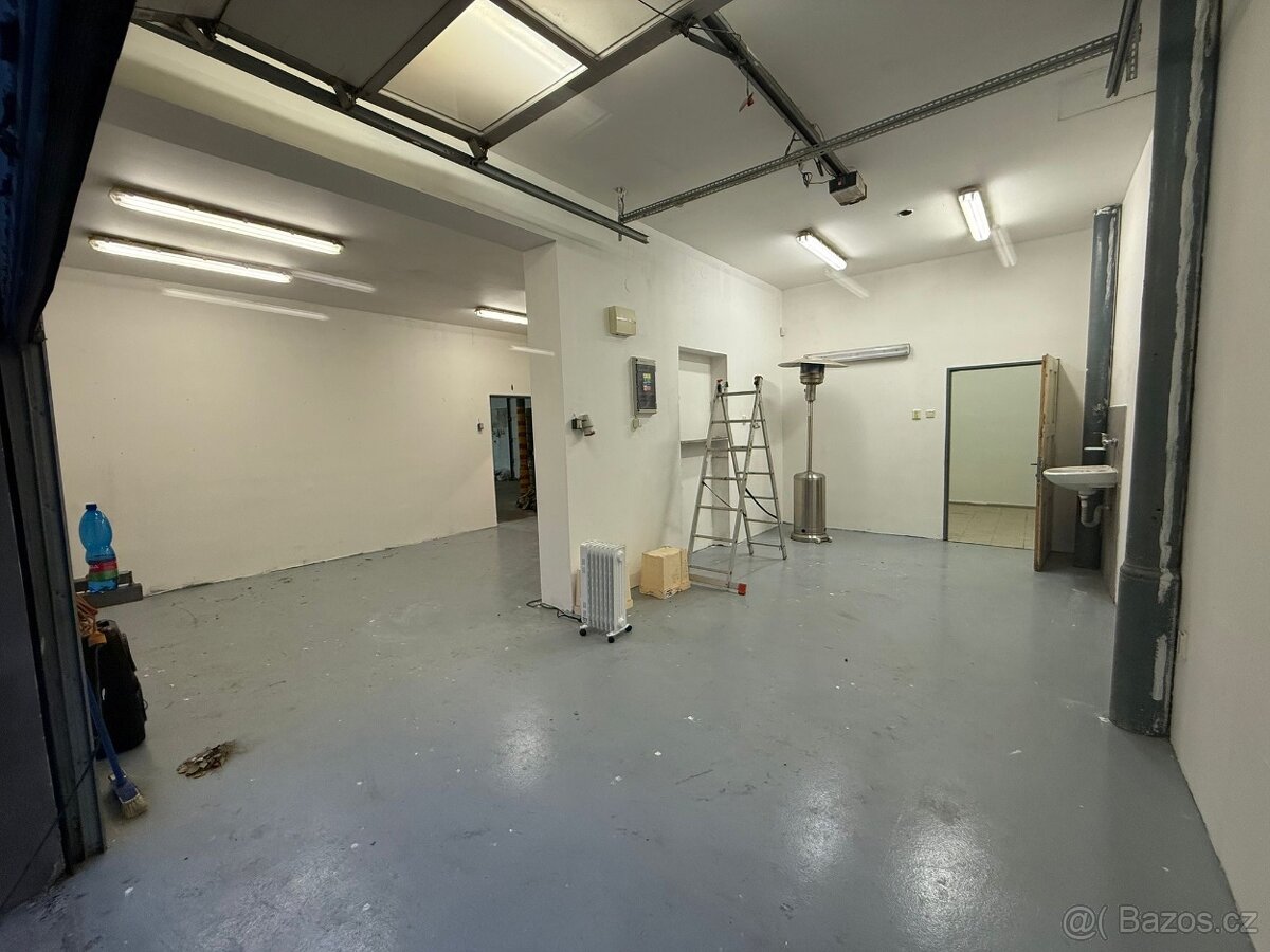 Bzenec-prostory k pronájmu - 5