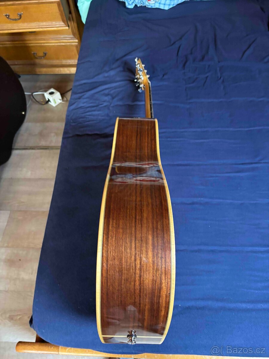 Kytara Pavlů celo masiv Cedr - 5