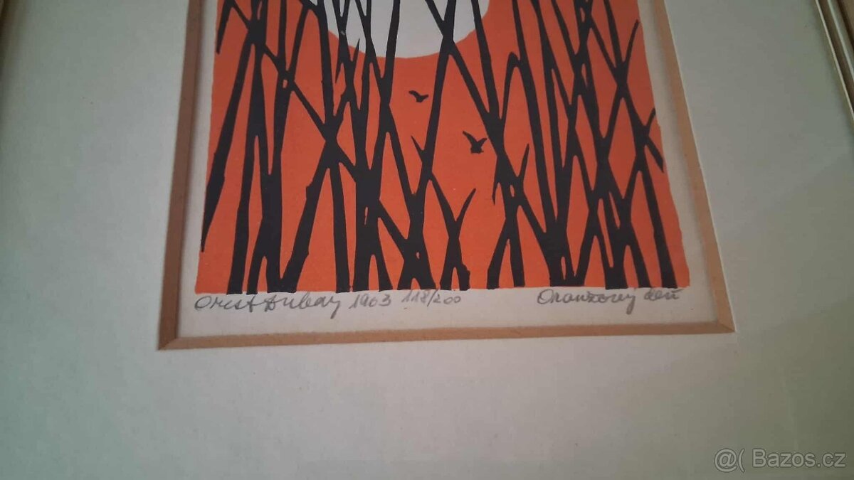 Orest Dubay - 5