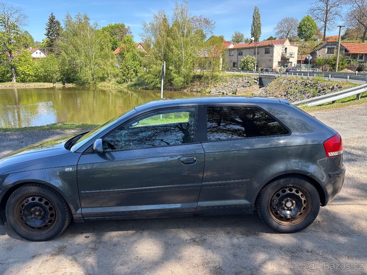Audi A3 8p 1.9TDI - 5