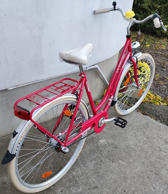 Dámske silniční trekingový kolo 3 převody - 5