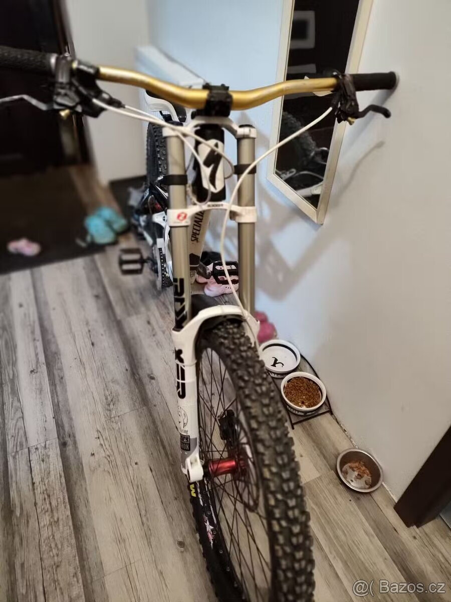 Specialized Demo 8 - DH - 5