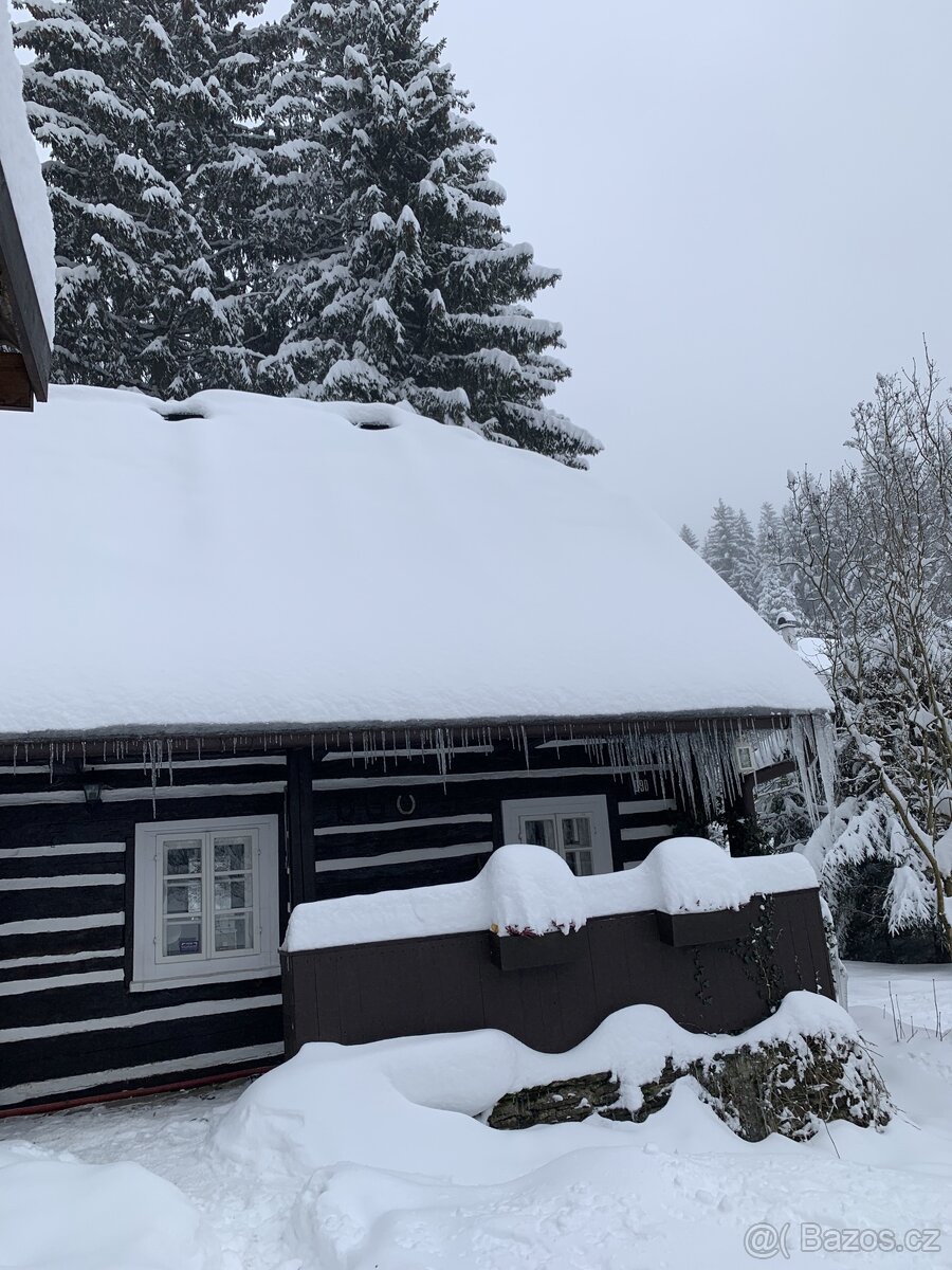Týdenní pobyty na horách na chalupě u svahu (vzd. 300m) - 5