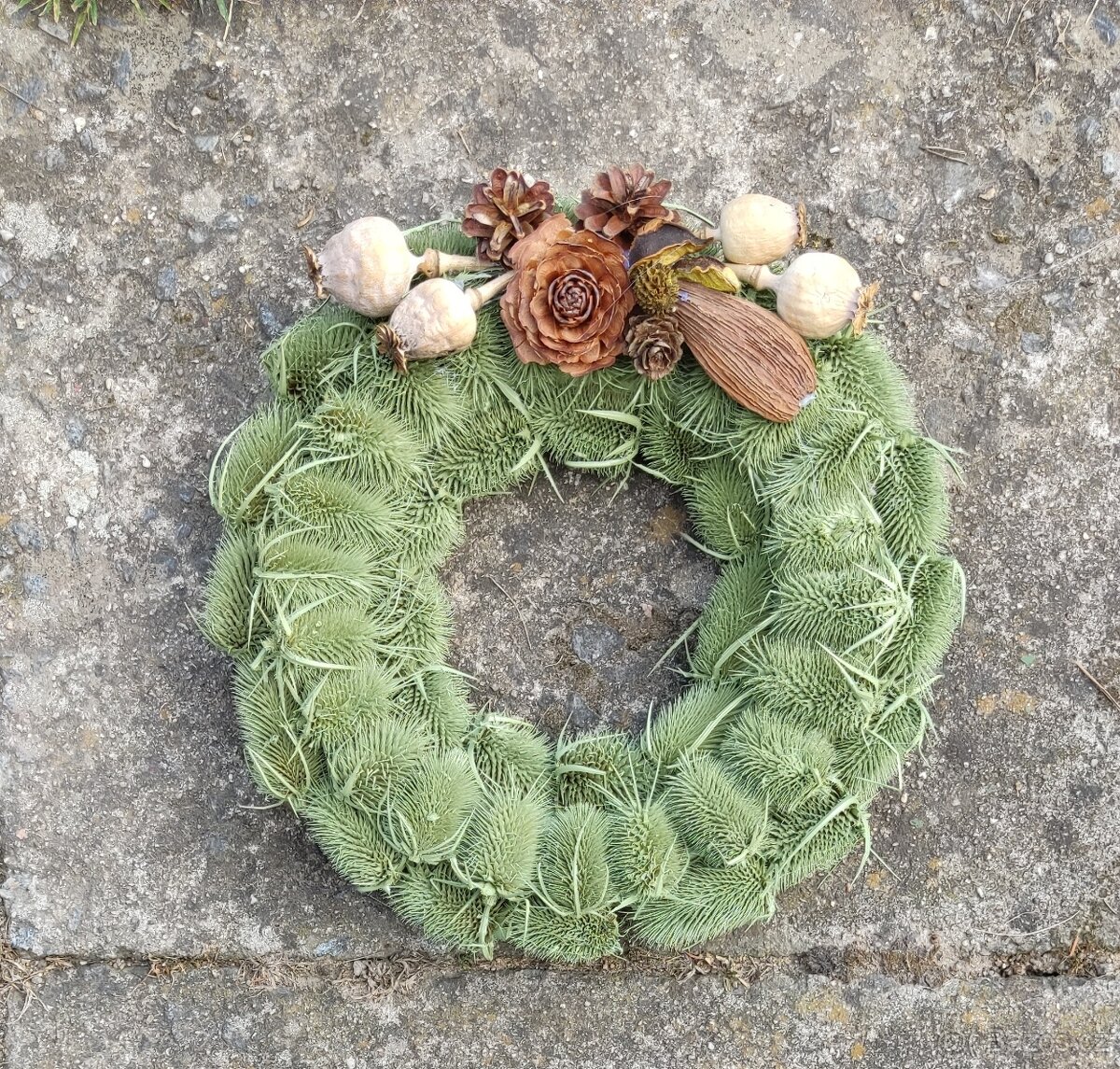 Bodlákový věneček - 5